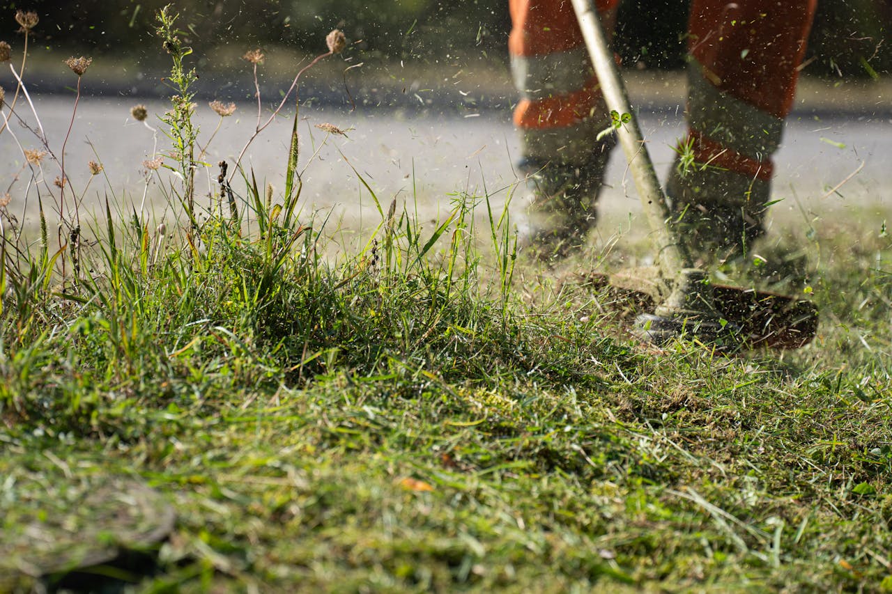 The Art of Drawing Readers In: Your attractive post title goes here A worker in protective gear using a grass cutter to trim grass, capturing the dynamic action and flying clippings.